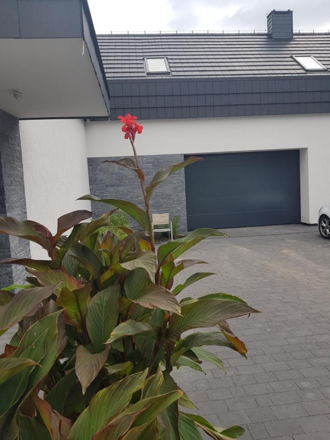Mlynska 8 Opole-Gorki别墅 外观 照片
