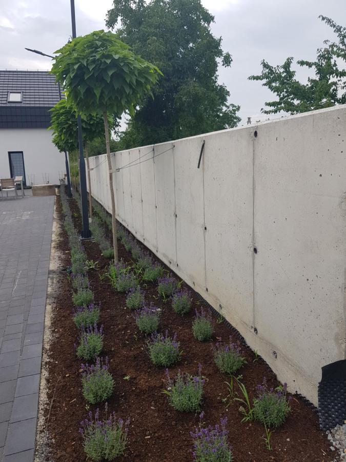 Mlynska 8 Opole-Gorki别墅 外观 照片